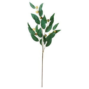 asca ���[�J���X�v���[ �t�F�C�N�O���[�� �ϗt�A�� ����