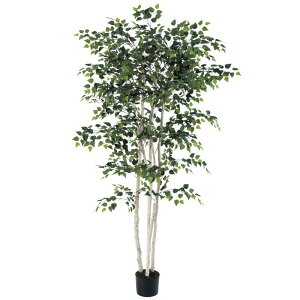 asca o[`c[ ȈՃ|bgt tFCNO[ lHϗtA 