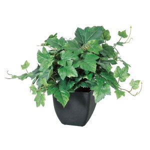 asca O[v[tubVi|bgtj tFCNO[ lHϗtA 