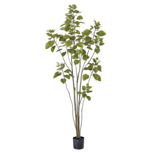 asca X[Nc[ ȈՃ|bgt tFCNO[ lHϗtA 