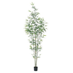 asca ou[c[ ȈՃ|bgt | tFCNO[ lHϗtA 