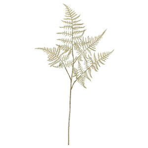 asca AXpKXt@[   ԍ  Be   Bep