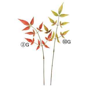 asca [tXv[   ԍ  Be   Bep