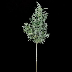 NX}X Xmas asca V[_[Xv[ 