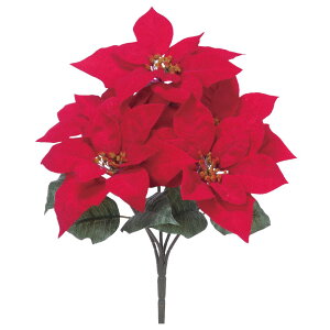 NX}X Xmas asca xxbg|CZ`AubVi5ցj  t[