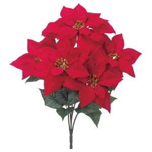 NX}X Xmas asca xxbg|CZ`AubVi5ցj  t[