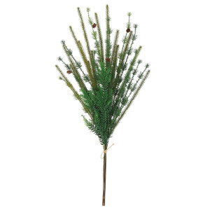 NX}X Xmas asca ~bNXpCR[o` 