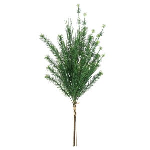 NX}X Xmas asca ~bNXpCo` 