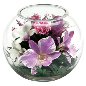   hCt[  KXP[X h[ AW    t[AW 蕨 @       l\ @v    [rcp