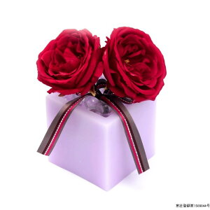 t[ A[eBtBVt[ ~j[Y S [LU-FS6528]  G} A[eBtBVt[ [F-L] Mtg v[g NX}X Lh LEDCg