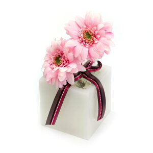 t[ A[eBtBVt[ K[x S [LU-FS6582]  G} A[eBtBVt[ [F-L] Mtg v[g NX}X Lh LEDCg