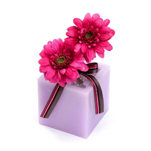 t[ A[eBtBVt[ K[x S [LU-FS6588]  G} A[eBtBVt[ [F-L] Mtg v[g NX}X Lh LEDCg