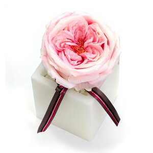 t[ A[eBtBVt[ LxbW[YM [LU-FS6631]  G} A[eBtBVt[ [F-L]Mtg v[g NX}X Lh LEDCg