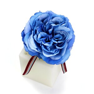 t[ A[eBtBVt[ t@j[[Y S [LU-FS6640]  G} A[eBtBVt[ [F-L]Mtg v[g NX}X Lh LEDCg