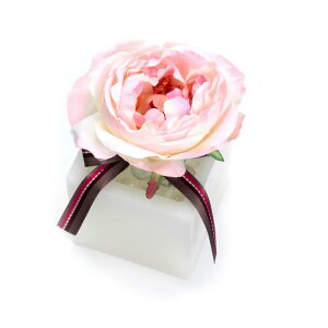 t[ A[eBtBVt[ LxbW[Y S [LU-FS6750]  G} A[eBtBVt[ [F-L] Mtg v[g NX}X Lh LEDCg