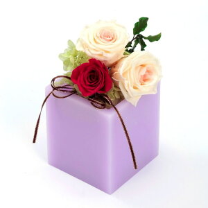 t[ vU[uht[ [Y Ă܂ S [LU-PS6452]  G} A[eBtBVt[ [F-L] Mtg v[g NX}X Lh LEDCg