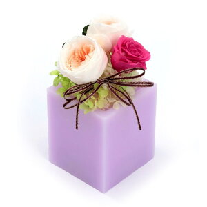 t[ vU[uht[ [Y Ă܂ S [LU-PS6476]  G} A[eBtBVt[ [F-L] Mtg v[g NX}X Lh LEDCg