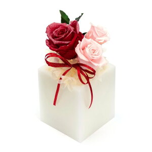 t[ vU[uht[ Xp[NO [Y S [LU-PS6498]  G} A[eBtBVt[ [F-L] Mtg v[g NX}X Lh LEDCg