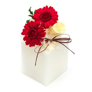 _Si|Cg5{^ 10/24 20:00`10/27 9:59 t[ vU[uht[ K[x S [LU-PS6501]  G} A[eBtBVt[ [F-L] Mtg v[g NX}X Lh LED