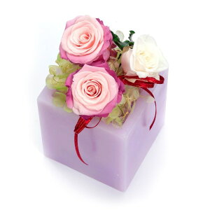 _Si|Cg5{^ 10/24 20:00`10/27 9:59 t[ vU[uht[ [Y VV S [LU-PS6661]  G} A[eBtBVt[ [F-L] Mtg v[g NX}X L