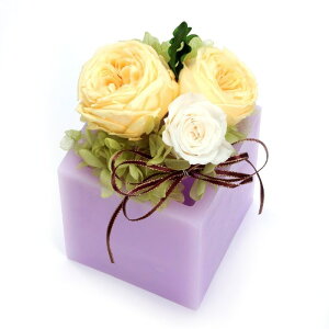 t[ vU[uht[ [Y Ă܂ S [LU-PS6670]  G} A[eBtBVt[ [F-L] Mtg v[g NX}X Lh LEDCg