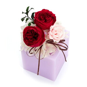 t[ vU[uht[ [Y Ă܂ S [LU-PS6676]  G} A[eBtBVt[ [F-L] Mtg v[g NX}X Lh LEDCg