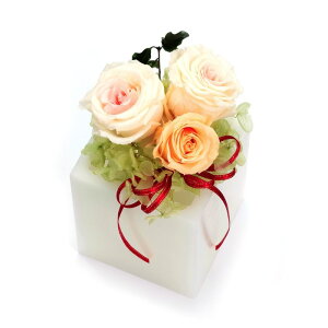 t[ vU[uht[ [Y Ă܂ S [LU-PS6694]  G} A[eBtBVt[ [F-L] Mtg v[g NX}X Lh LEDCg