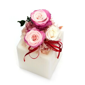 t[ vU[uht[ [Y VV S [LU-PS6703]  G} A[eBtBVt[ [F-L] Mtg v[g NX}X Lh LEDCg