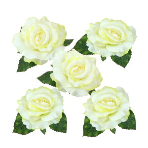  o KN [Y sN zCg A EFJ{[h A[gt[ 1 5_Zbg  fBXvC fR[V AW A[eBtBVt[ CTG} DIY | / K