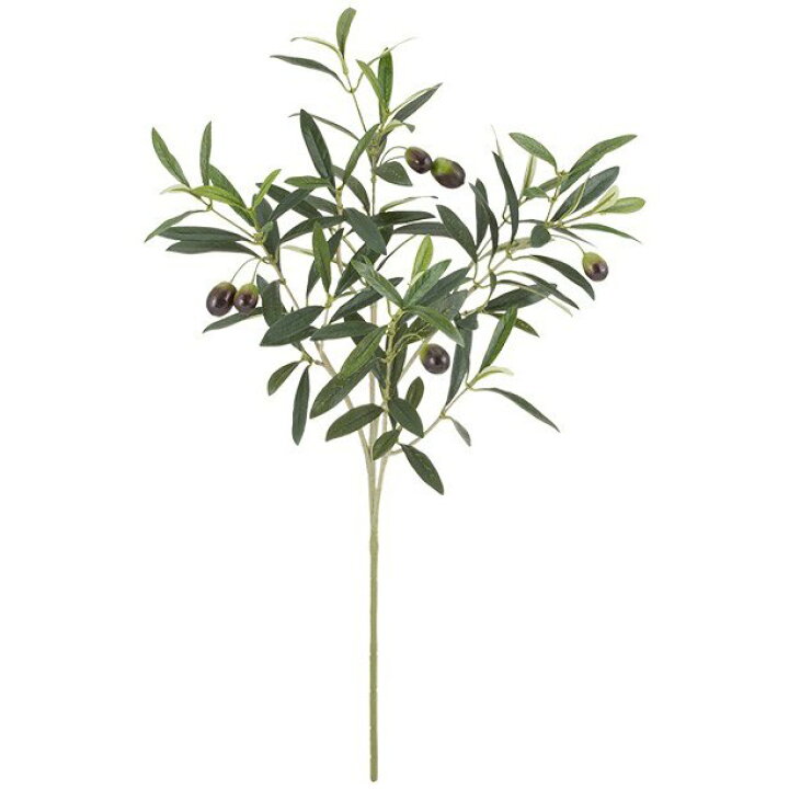 楽天市場】フェイクグリーン 枝 人工観葉植物 オリーブスプレイ 実付き 