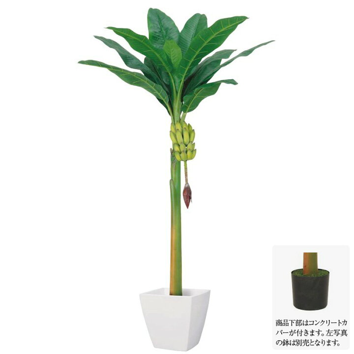 楽天市場】フェイクグリーン 大型 バナナツリー L 房バナナ付 200cm 