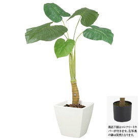 フェイクグリーン クワズイモ S 150cm 観葉植物 造花 大型 人工観葉植物 光触媒 CT触媒 インテリア [G-L] tpw