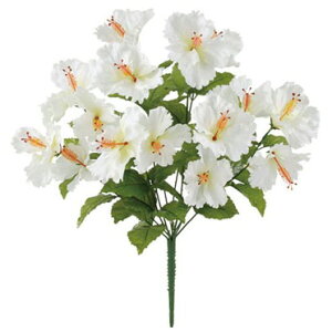 gsJnCrXJXubVi16ցj zCg  ԍ[G-L] Be   Bep