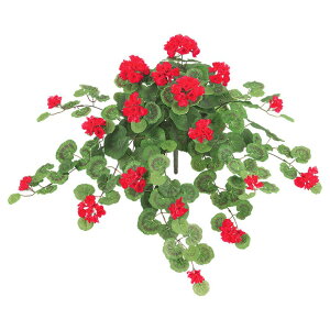 v~A[jEubV(L) bh  ԍ[G-L] Be   Bep