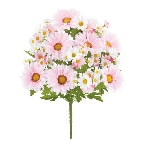 tbVK[x^fCW[ubV sN  ԍ[G-L] Be   Bep