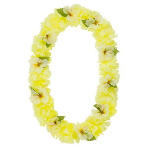 nCrXJX^J[l[VC CG[  ԍ[G-L] Be   Bep