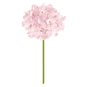 t@CAWTCsbN [u  ԍ[G-L] Be   Bep