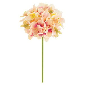 t@CAWTCsbN s[`  ԍ[G-L] Be   Bep