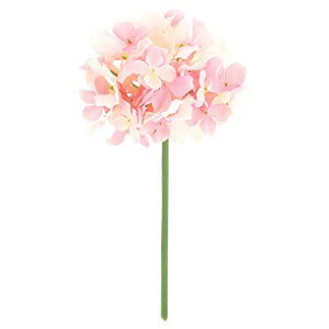 t@CAWTCsbN sN  ԍ[G-L] Be   Bep