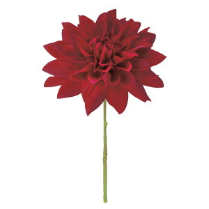 _AsbN C  ԍ[G-L] Be   Bep