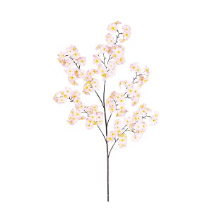 }i144ցj  ԍ[G-L] Be   Bep