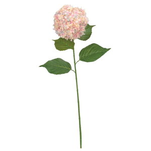 qAWTCz CbN  ԍ[G-L] Be   Bep