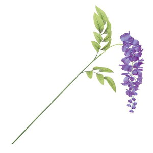 [tWXvC(S) p[v  ԍ[G-L] Be   Bep