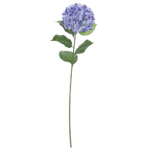 tAWTC(L)z p[v  ԍ[G-L] Be   Bep