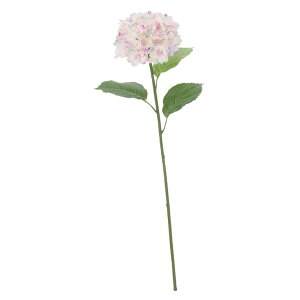 tAWTC(S)z CbN  ԍ[G-L] Be   Bep