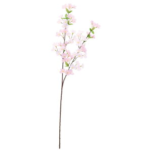 v~AXvC(L)i48ցj  ԍ[G-L] Be   Bep