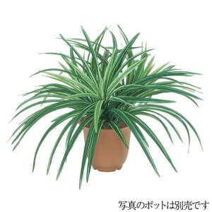 ϗtA  hZiubV O[^zCg K̖ 28cm tFCNO[ lHϗtA G} CTG} CeA [G-L]
