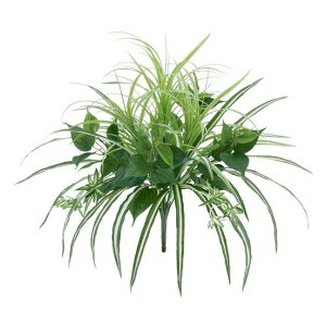 tFCNO[ OXA\[gubV 60cm lHϗtA ϗtA  G} CTG} CeA [G-L]