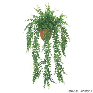 lHϗtA OΉ AWA^nMOubV 85cm ϗtA  tFCNO[ G} CTG} CeA [G-L]