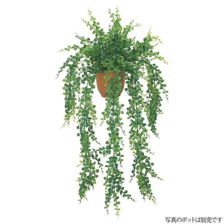 楽天市場 人工観葉植物 屋外対応 アジアンタムハンギングブッシュ 85cm 観葉植物 造花 フェイクグリーン 光触媒 Ct触媒 インテリア G L フェイクグリーンの神戸花物語 楽天市場 人工観葉植物 屋外対応 アジアンタムハンギングブッシュ 85cm 観葉植物 造花 フェイクグリーン 光触媒 Ct触媒 インテリア G L フェイクグリーンの神戸花物語